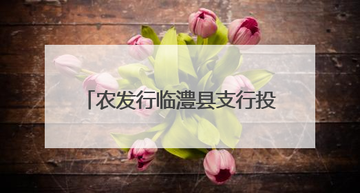 农发行临澧县支行投放7.5亿元贷款 助力全域乡村振兴