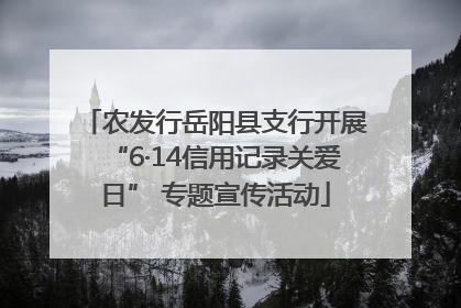 农发行岳阳县支行开展“6·14信用记录关爱日” 专题宣传活动