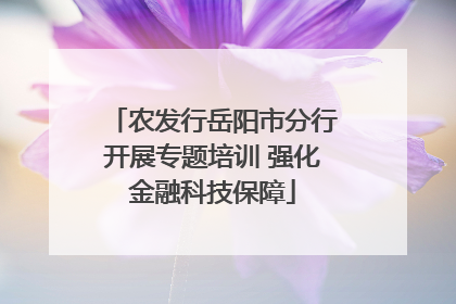 农发行岳阳市分行开展专题培训 强化金融科技保障