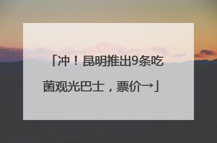 冲！昆明推出9条吃菌观光巴士，票价→