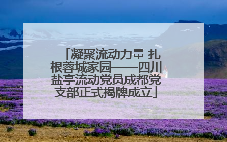 凝聚流动力量 扎根蓉城家园——四川盐亭流动党员成都党支部正式揭牌成立