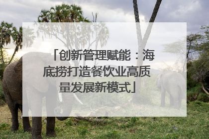 创新管理赋能：海底捞打造餐饮业高质量发展新模式