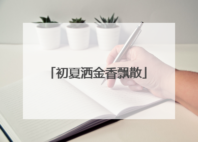 初夏洒金香飘散