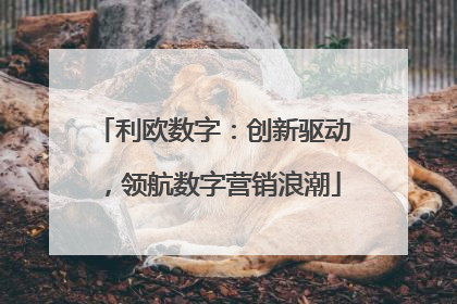 利欧数字：创新驱动，领航数字营销浪潮