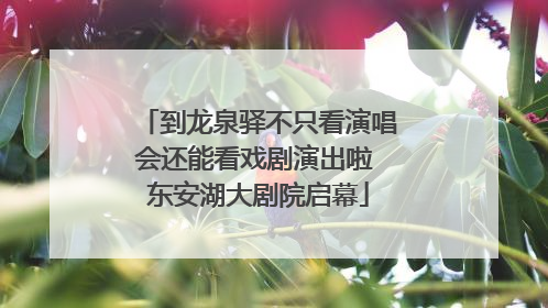 到龙泉驿不只看演唱会还能看戏剧演出啦 东安湖大剧院启幕
