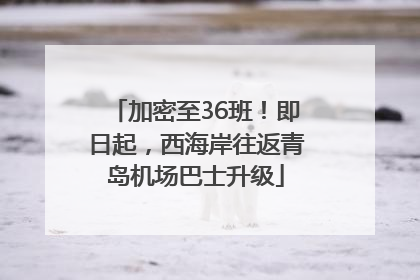 加密至36班！即日起，西海岸往返青岛机场巴士升级
