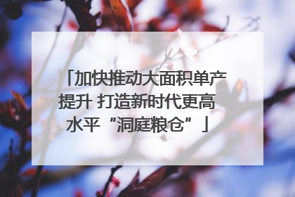 加快推动大面积单产提升 打造新时代更高水平“洞庭粮仓”