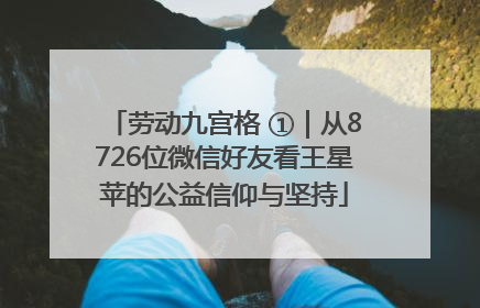 劳动九宫格 ①|从8726位微信好友看王星苹的公益信仰与坚持