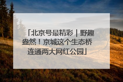 北京号最精彩｜野趣盎然！京城这个生态桥连通两大网红公园