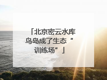 北京密云水库鸟岛成了生态“训练场”