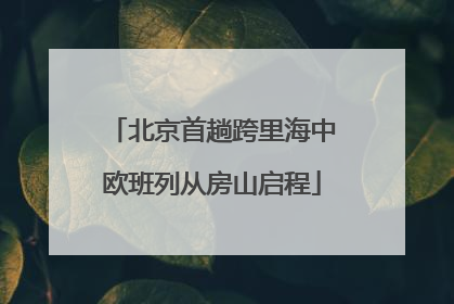 北京首趟跨里海中欧班列从房山启程