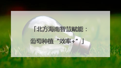 北方海南智慧赋能：葡萄种植“效率+”