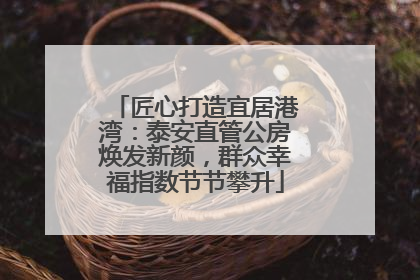 匠心打造宜居港湾：泰安直管公房焕发新颜，群众幸福指数节节攀升