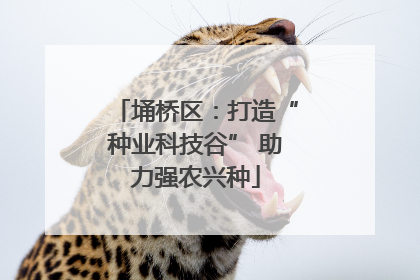 埇桥区：打造“种业科技谷” 助力强农兴种