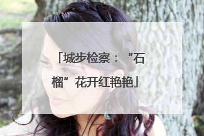 城步检察：“石榴”花开红艳艳