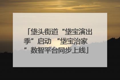 垡头街道“垡宝演出季”启动 “垡宝治家”数智平台同步上线