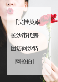 吴桂英率长沙市代表团访问沙特阿拉伯