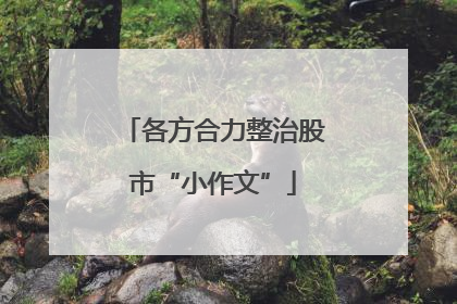 各方合力整治股市“小作文”