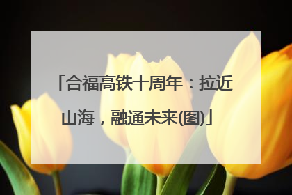 合福高铁十周年：拉近山海，融通未来(图)