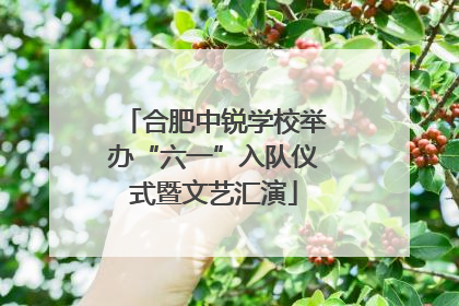 合肥中锐学校举办“六一”入队仪式暨文艺汇演