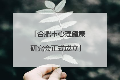 合肥市心理健康研究会正式成立