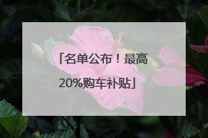 名单公布！最高20%购车补贴