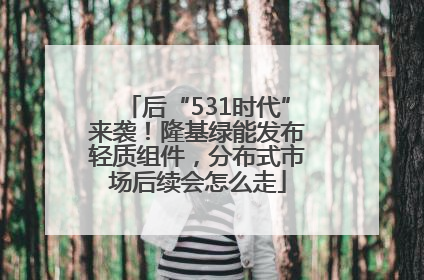 后“531时代”来袭！隆基绿能发布轻质组件，分布式市场后续会怎么走