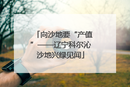 向沙地要“产值”——辽宁科尔沁沙地兴绿见闻