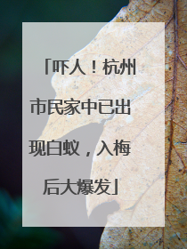 吓人！杭州市民家中已出现白蚁，入梅后大爆发