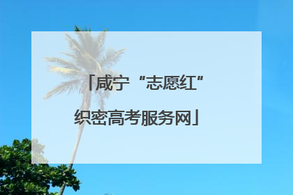 咸宁“志愿红”织密高考服务网