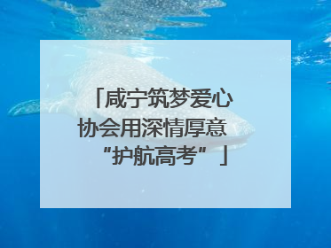咸宁筑梦爱心协会用深情厚意“护航高考”