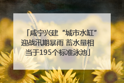咸宁兴建“城市水缸”迎战汛期暴雨 蓄水量相当于195个标准泳池