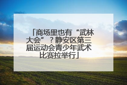 商场里也有“武林大会”？静安区第三届运动会青少年武术比赛拉举行