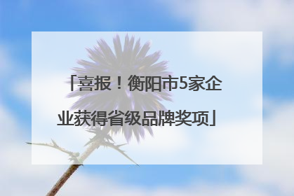 喜报！衡阳市5家企业获得省级品牌奖项