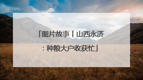 图片故事丨山西永济：种粮大户收获忙