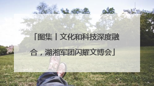 图集丨文化和科技深度融合，湖湘军团闪耀文博会