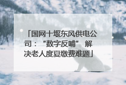 国网十堰东风供电公司：“数字反哺” 解决老人度夏缴费难题