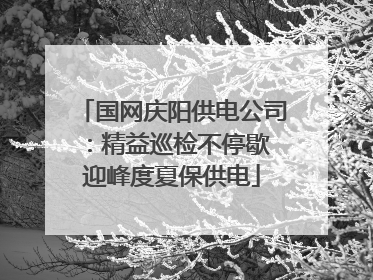 国网庆阳供电公司：精益巡检不停歇 迎峰度夏保供电