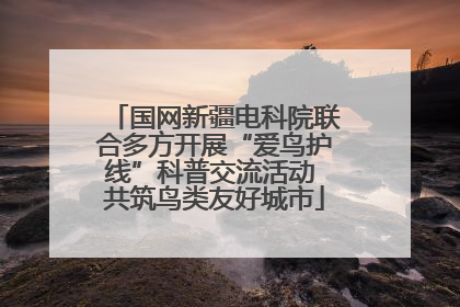 国网新疆电科院联合多方开展“爱鸟护线”科普交流活动 共筑鸟类友好城市