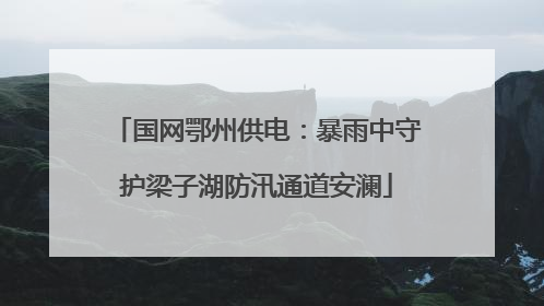 国网鄂州供电：暴雨中守护梁子湖防汛通道安澜
