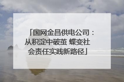 国网金昌供电公司：从积淀中破茧 蝶变社会责任实践新路径