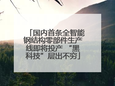 国内首条全智能钢结构零部件生产线即将投产 “黑科技”层出不穷