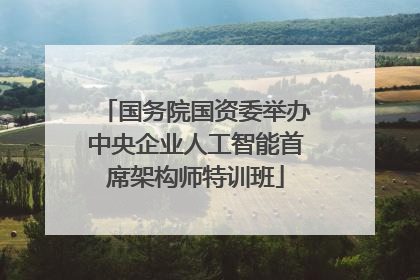 国务院国资委举办中央企业人工智能首席架构师特训班
