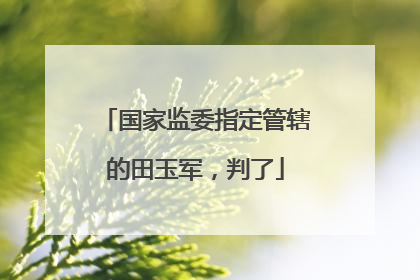 国家监委指定管辖的田玉军，判了