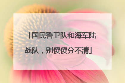 国民警卫队和海军陆战队，别傻傻分不清