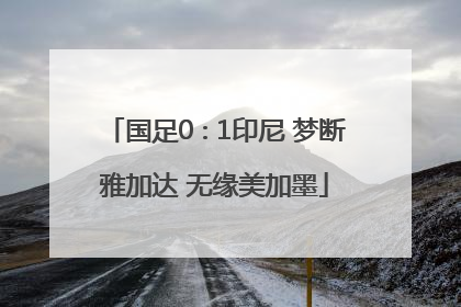 国足0∶1印尼 梦断雅加达 无缘美加墨
