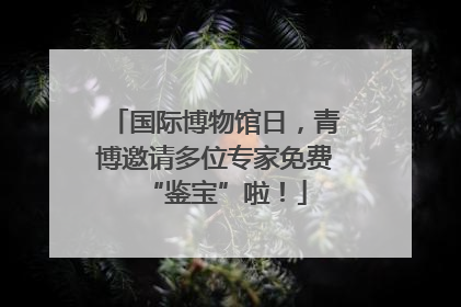 国际博物馆日，青博邀请多位专家免费“鉴宝”啦！