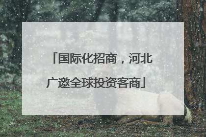 国际化招商，河北广邀全球投资客商