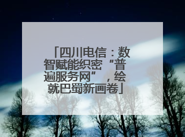 四川电信：数智赋能织密“普遍服务网”，绘就巴蜀新画卷