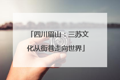 四川眉山：三苏文化从街巷走向世界